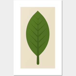 Leaf Design Posters and Art